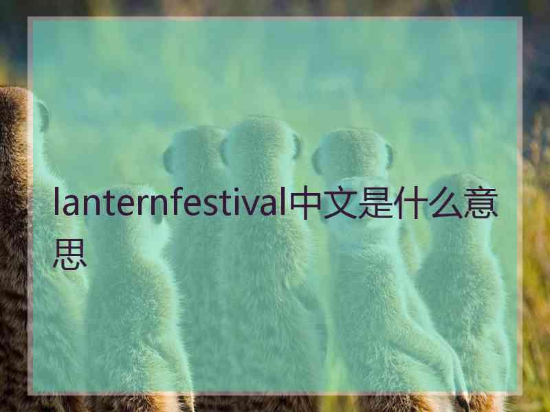 lanternfestival中文是什么意思