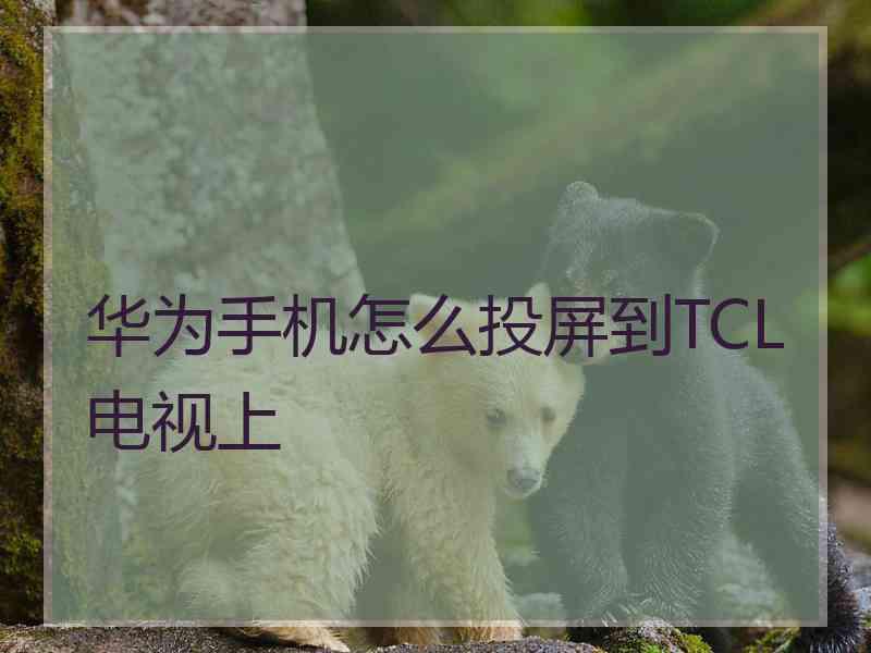 华为手机怎么投屏到TCL电视上