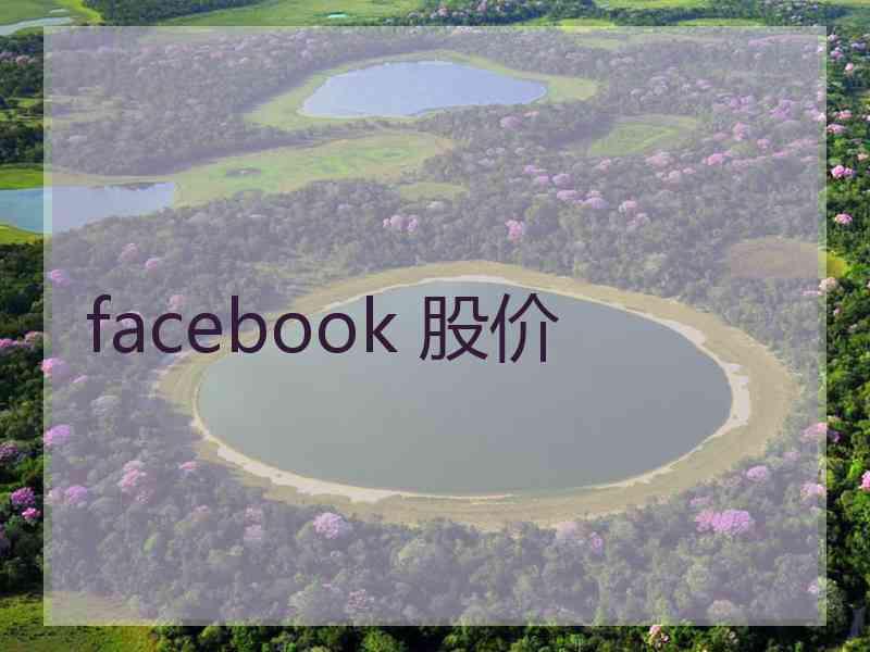 facebook 股价