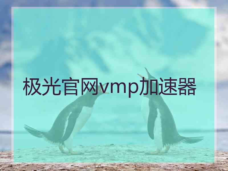 极光官网vmp加速器