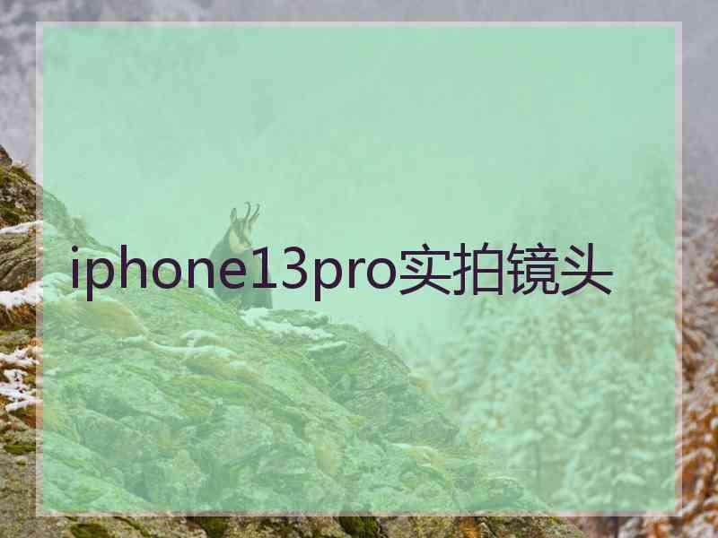 iphone13pro实拍镜头