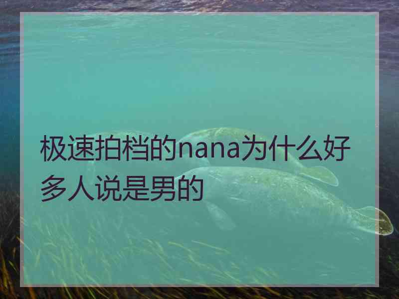 极速拍档的nana为什么好多人说是男的