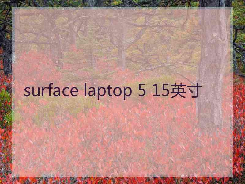 surface laptop 5 15英寸