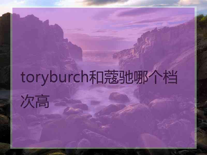 toryburch和蔻驰哪个档次高