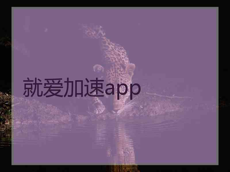 就爱加速app