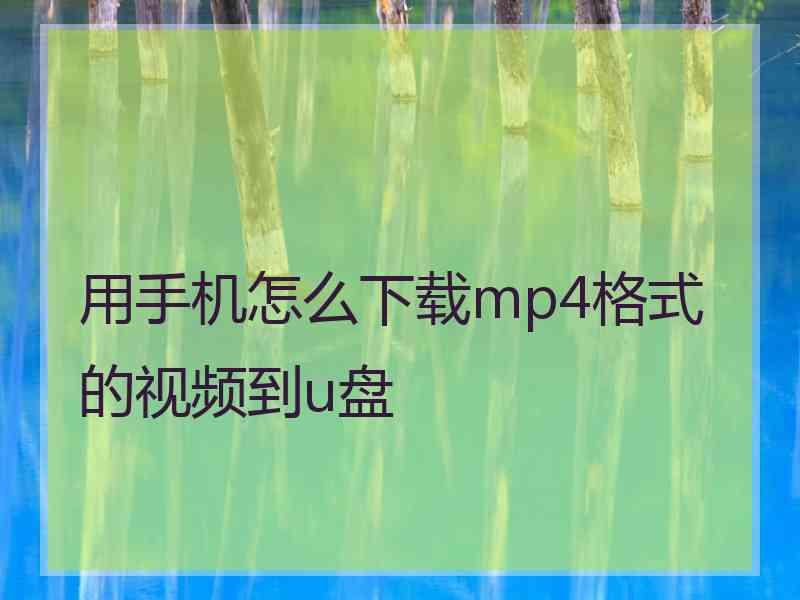 用手机怎么下载mp4格式的视频到u盘