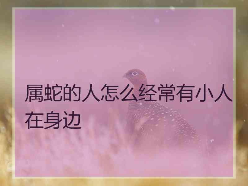 属蛇的人怎么经常有小人在身边