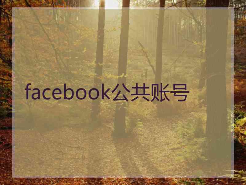 facebook公共账号