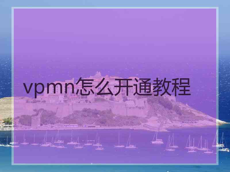 vpmn怎么开通教程