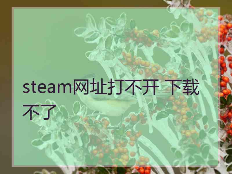 steam网址打不开 下载不了