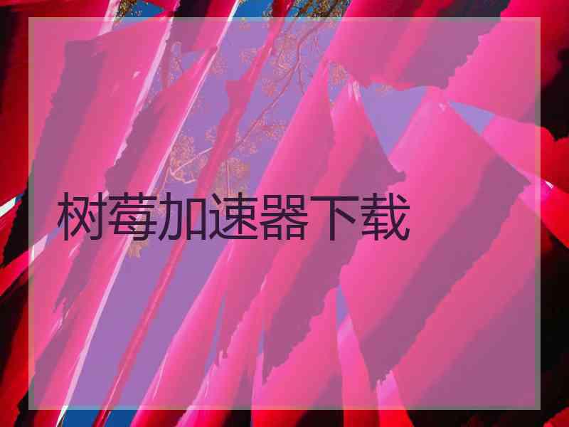 树莓加速器下载