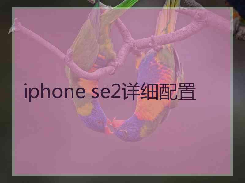 iphone se2详细配置