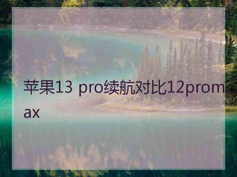 苹果13 pro续航对比12promax