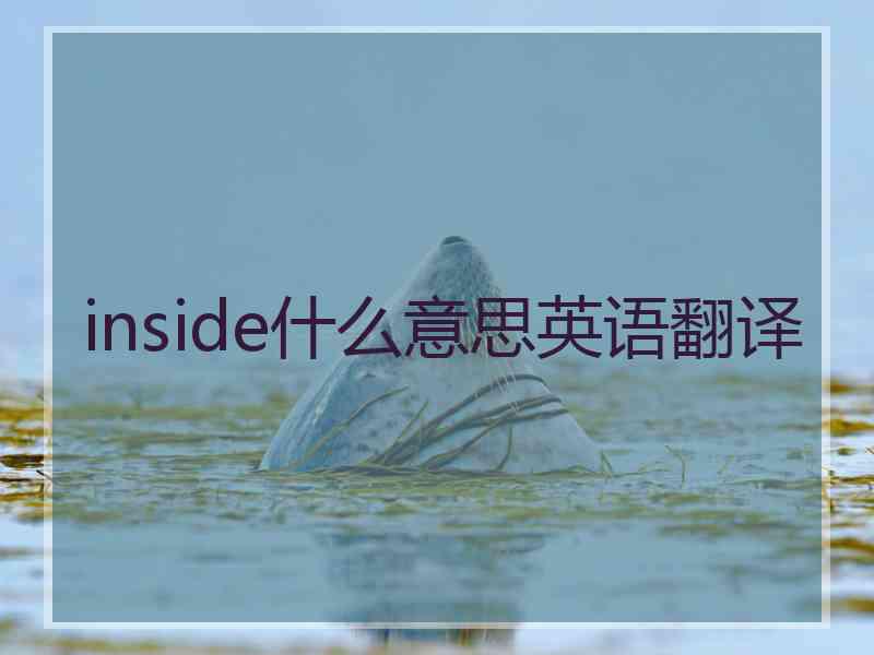 inside什么意思英语翻译