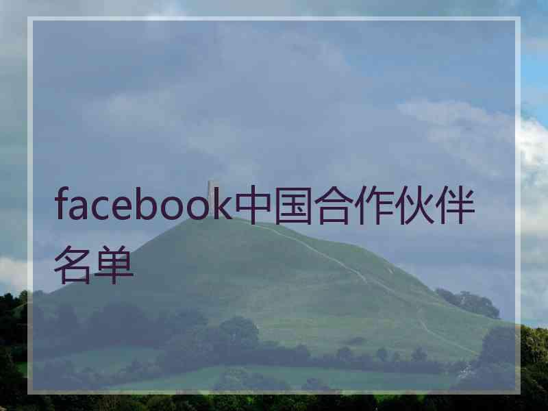 facebook中国合作伙伴名单