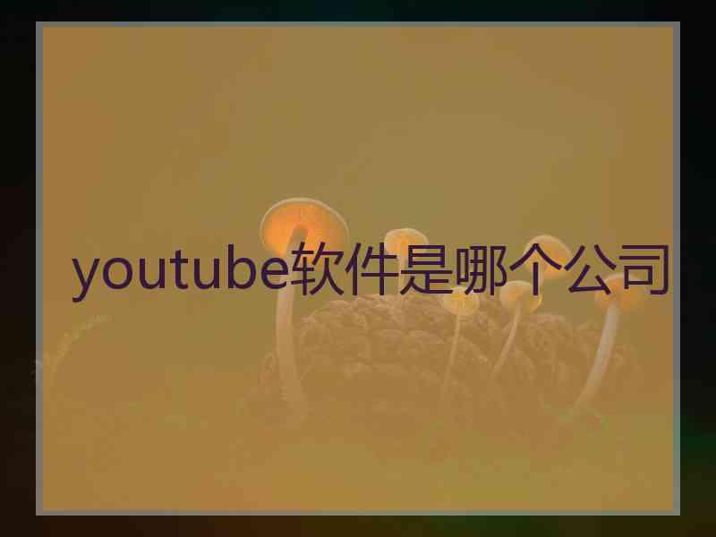 youtube软件是哪个公司