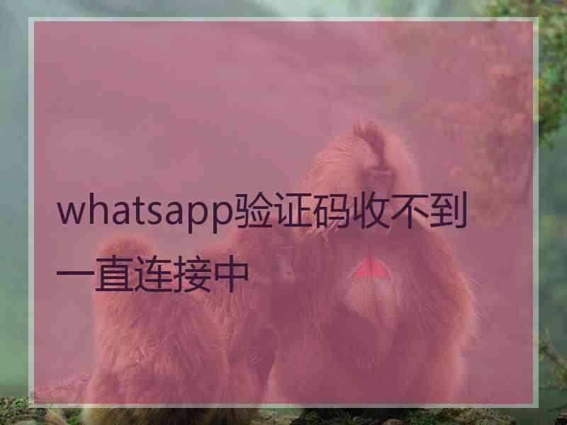 whatsapp验证码收不到一直连接中