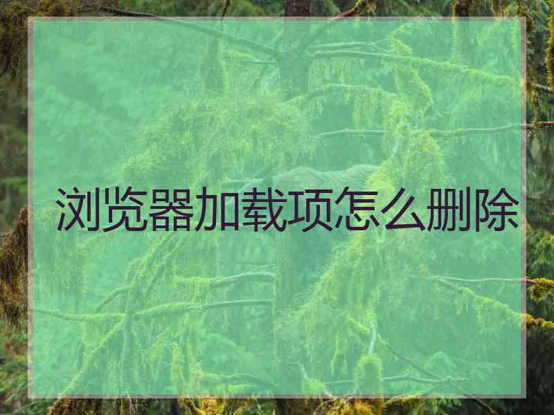 浏览器加载项怎么删除