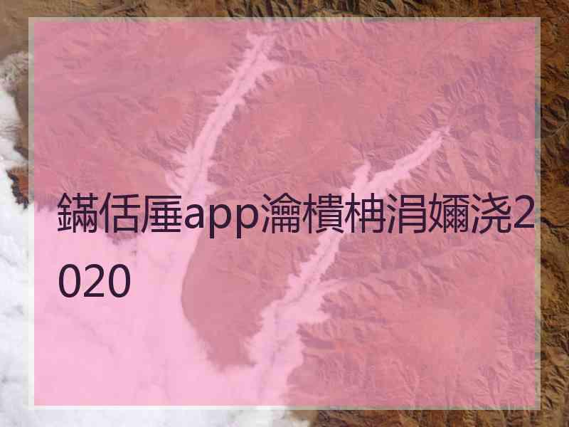 鏋佸厜app瀹樻柟涓嬭浇2020