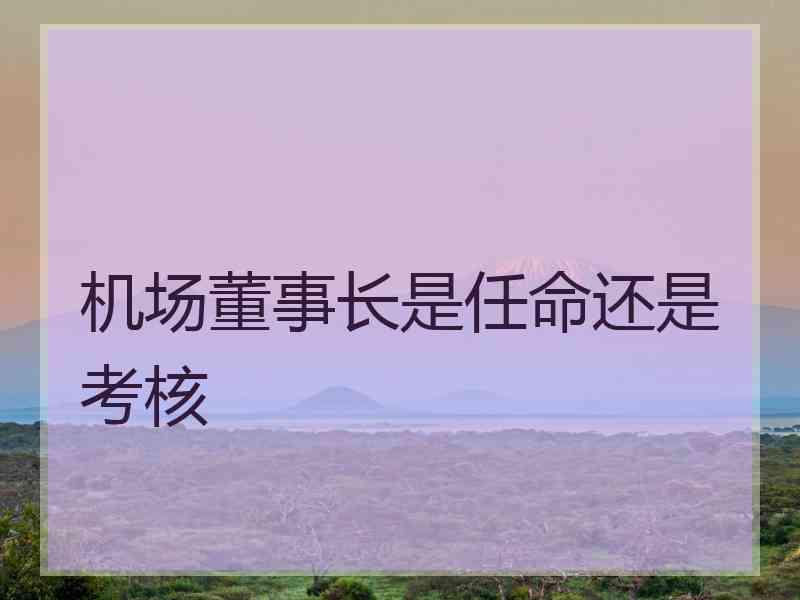 机场董事长是任命还是考核