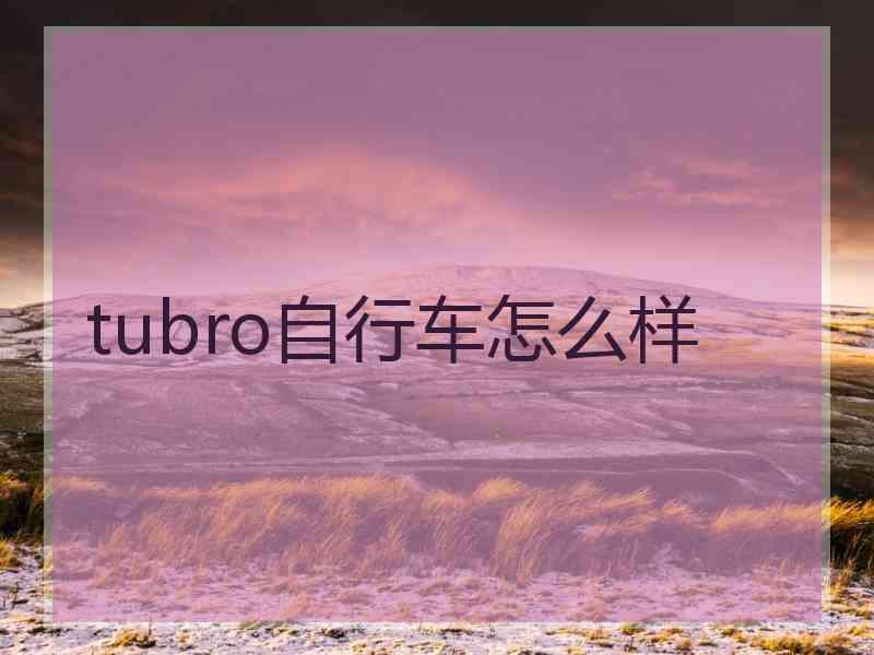 tubro自行车怎么样