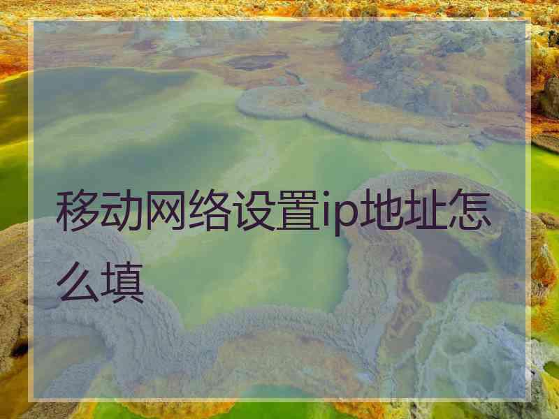 移动网络设置ip地址怎么填