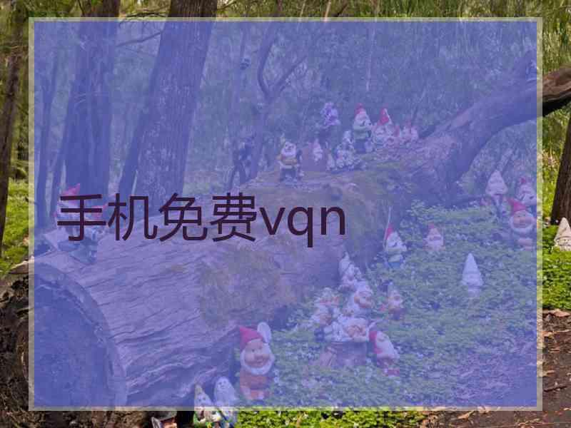 手机免费vqn