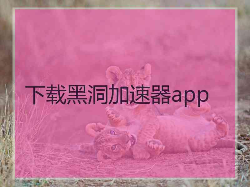 下载黑洞加速器app