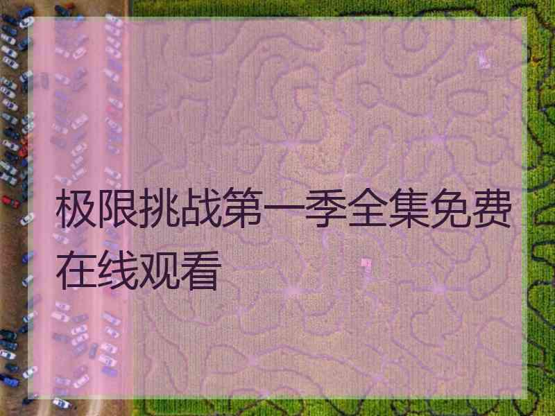 极限挑战第一季全集免费在线观看