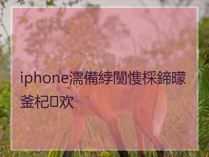 iphone濡備綍闅愯棌鍗曚釜杞欢