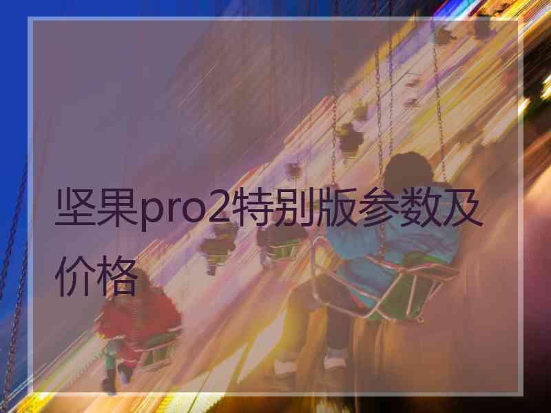 坚果pro2特别版参数及价格