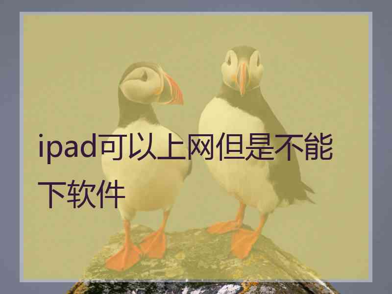 ipad可以上网但是不能下软件