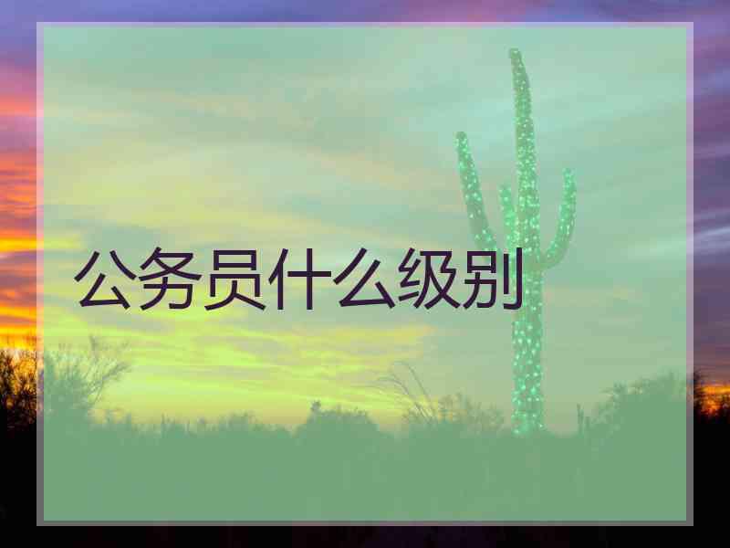 公务员什么级别