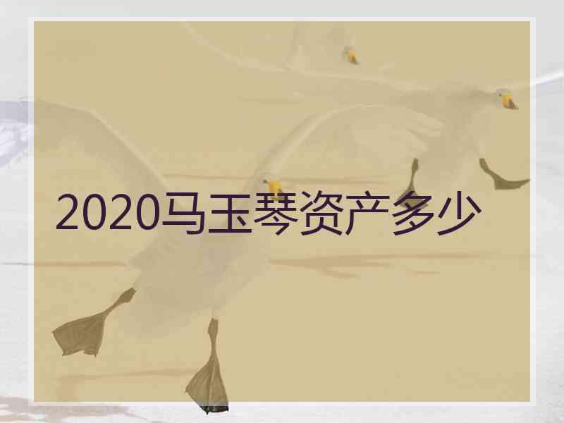 2020马玉琴资产多少