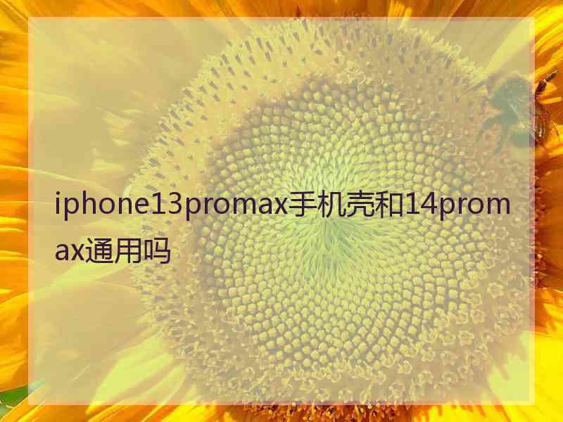 iphone13promax手机壳和14promax通用吗