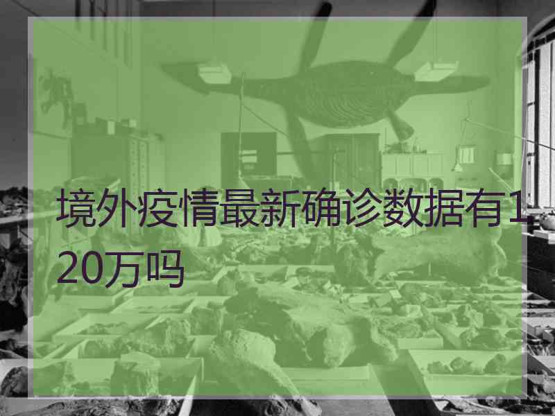 境外疫情最新确诊数据有120万吗