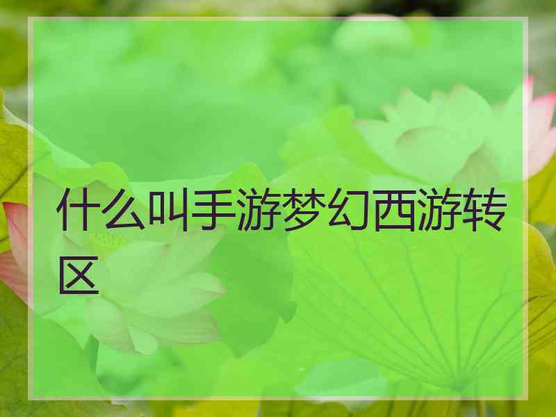 什么叫手游梦幻西游转区