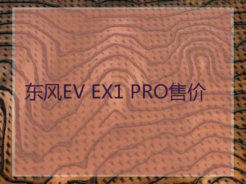 东风EV EX1 PRO售价