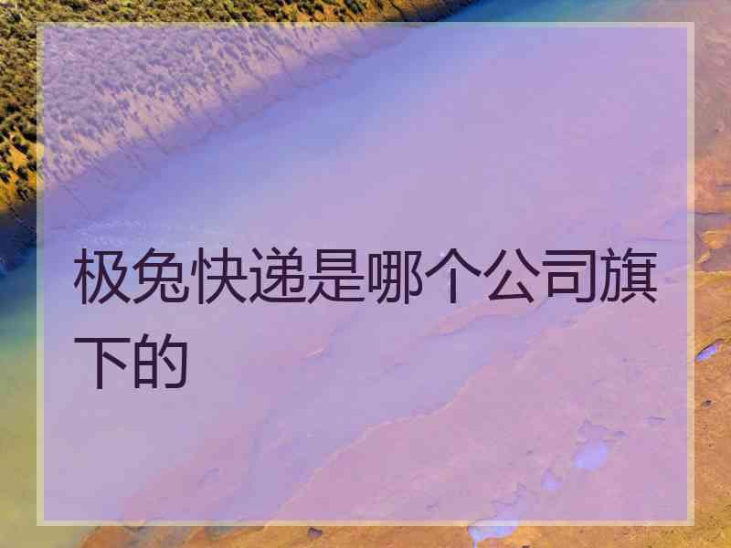 极兔快递是哪个公司旗下的