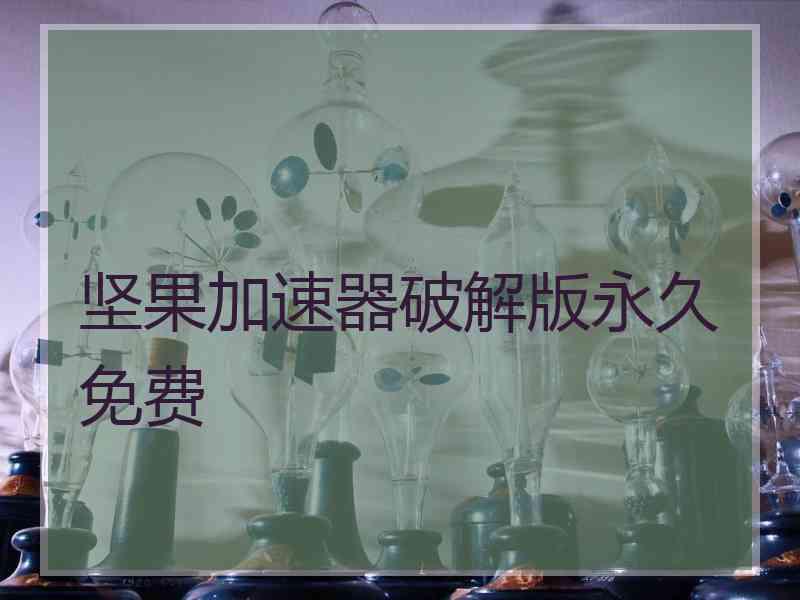 坚果加速器破解版永久免费