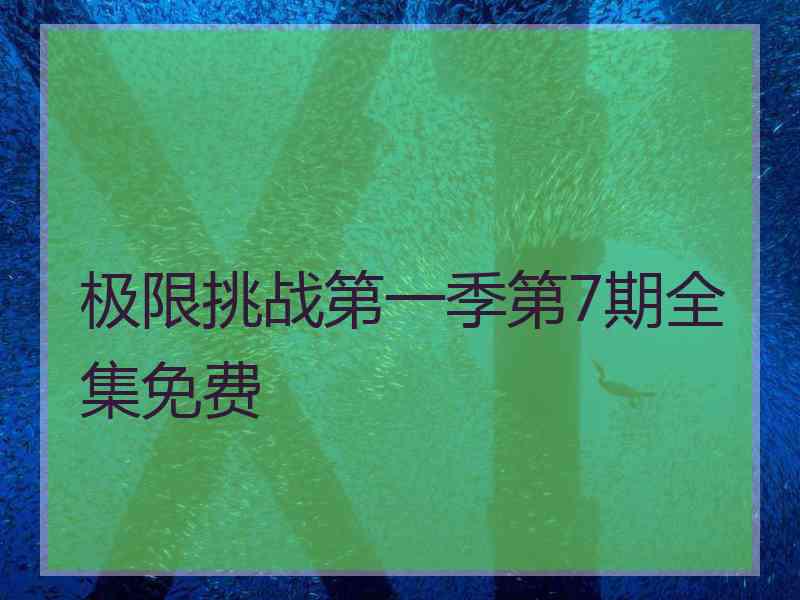 极限挑战第一季第7期全集免费