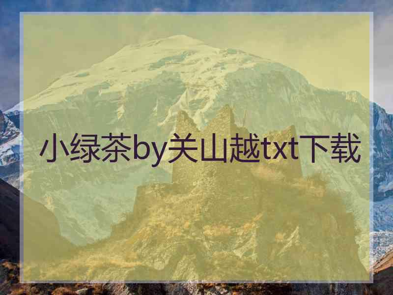 小绿茶by关山越txt下载