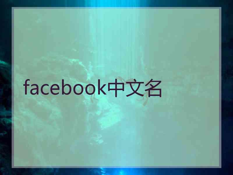 facebook中文名