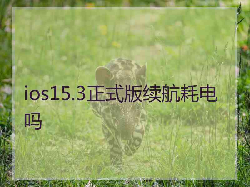 ios15.3正式版续航耗电吗