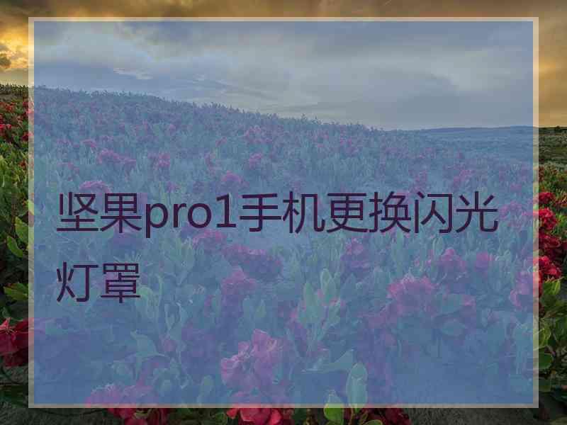 坚果pro1手机更换闪光灯罩