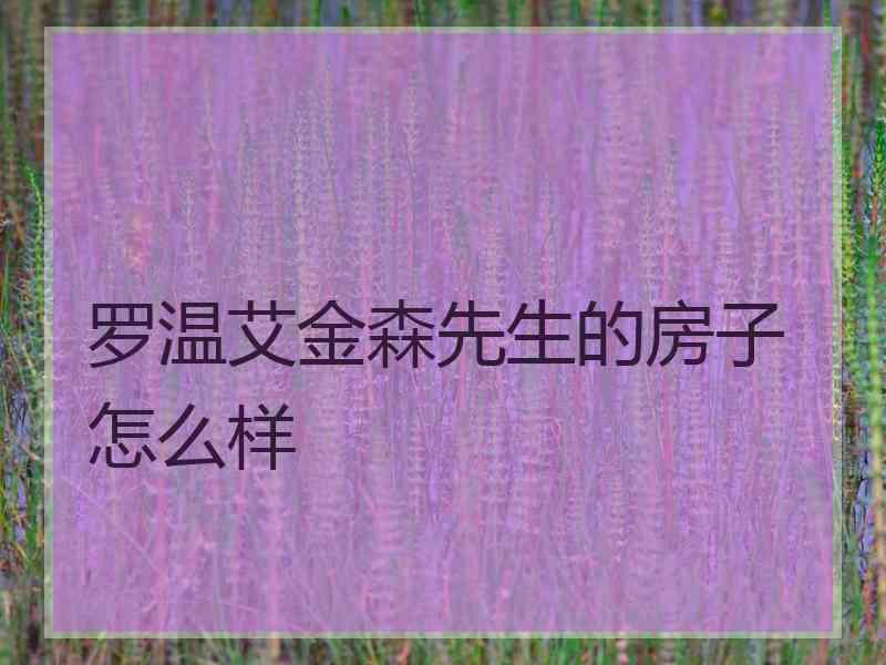 罗温艾金森先生的房子怎么样