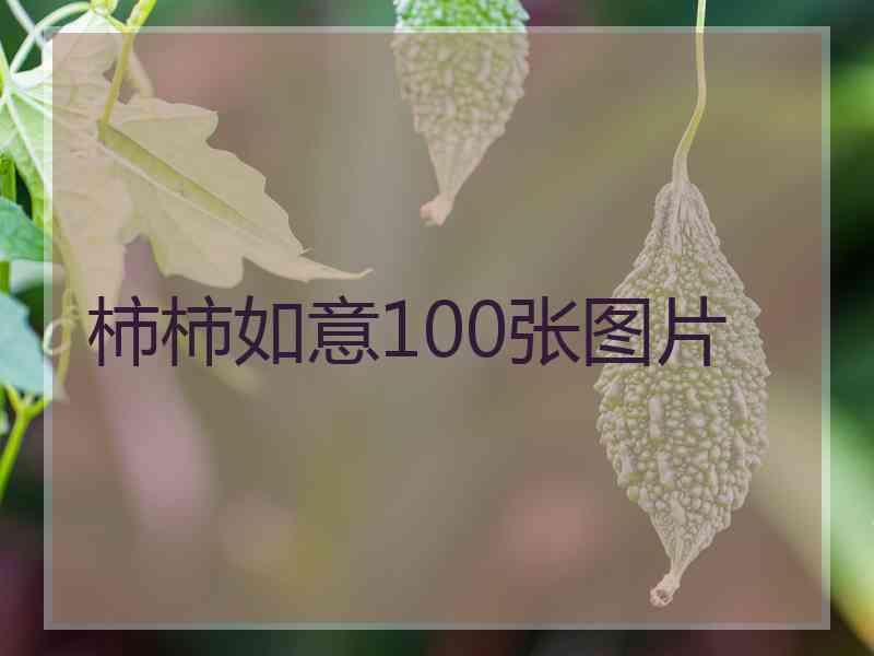 柿柿如意100张图片