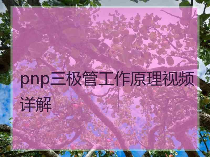 pnp三极管工作原理视频详解