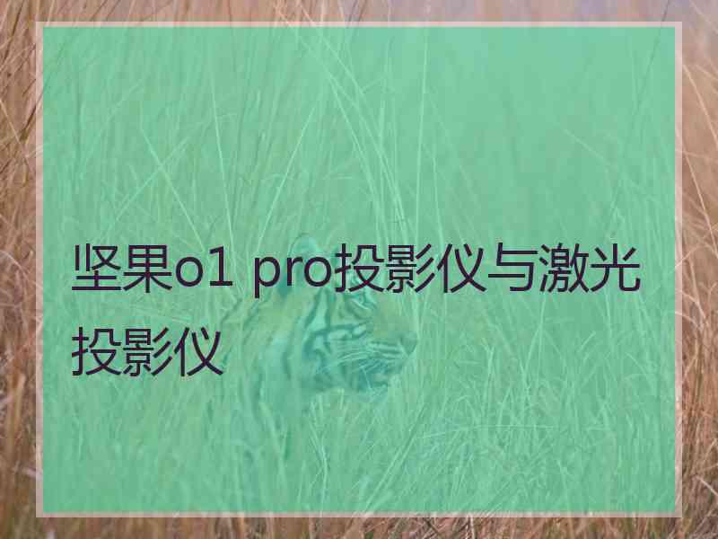 坚果o1 pro投影仪与激光投影仪