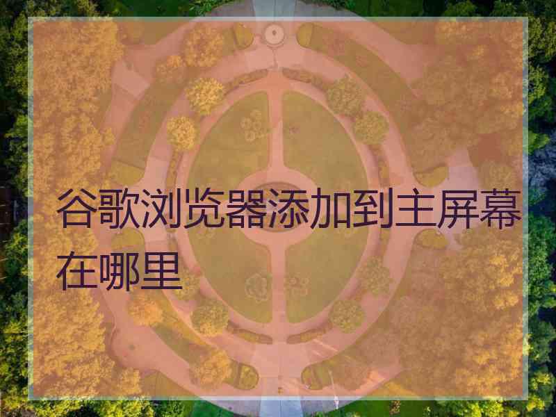 谷歌浏览器添加到主屏幕在哪里